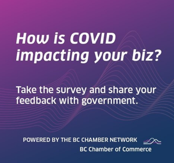 BC-Chamber-Survey-graphic