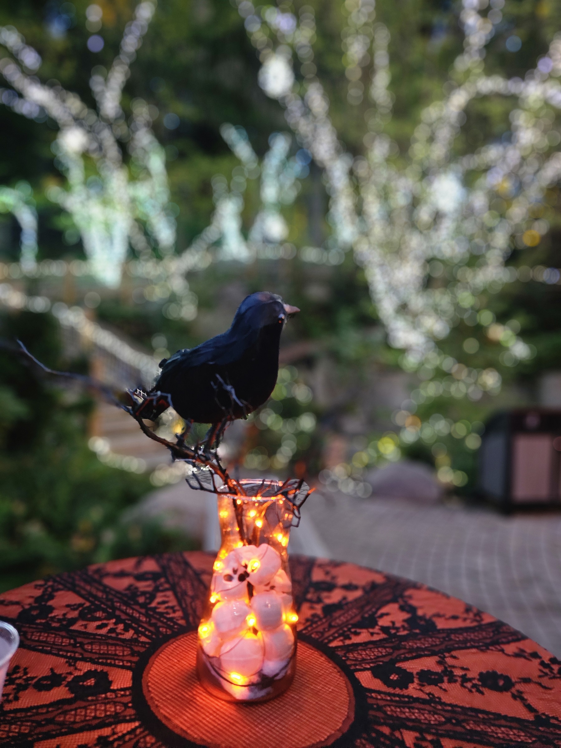 20251009_185240 20251009_185240