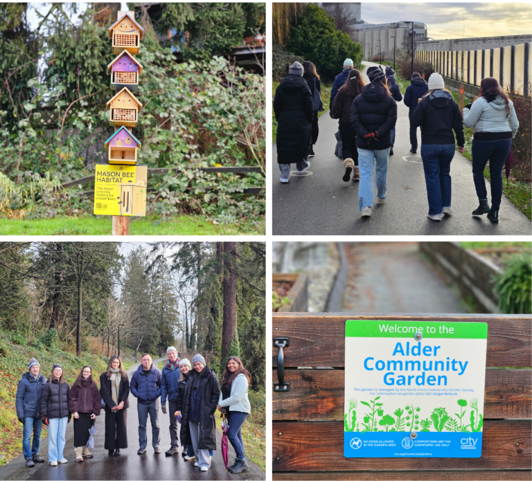 Chamber in Action (5)