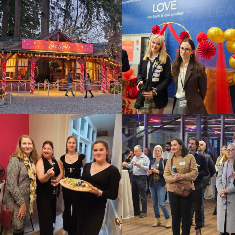 Chamber in Action (11)