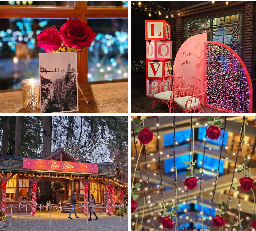 Chamber in Action (7) Chamber in Action (7)