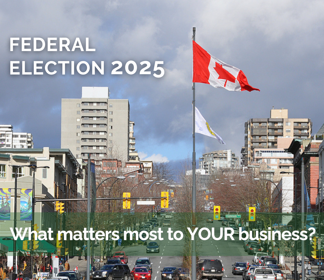 Federal election survey